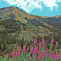 photo "Red Mountain"