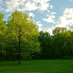 photo "Lights  & Shadows"