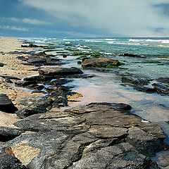 фото "Пижон и море"