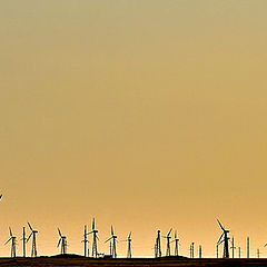 photo "wind machins #3"