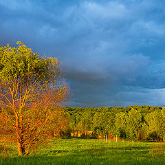 photo "10 Minutes before Storm"