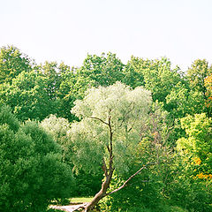 фото "Речной пейзаж"