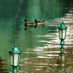 photo "Ducks"