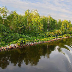 фото "летняя зарисовка"