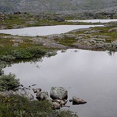 фото "Arctic landscape"