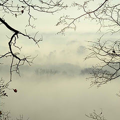 фото "Утро,Белый туман."