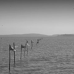photo "Flags"