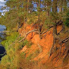 photo "Coast of the river - Luga (head waters)"