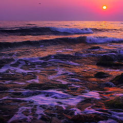 photo "blacksea2"