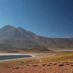 фото "Laguna Miscanti, Chile"