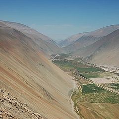 фото "Oasis in Atacama desert"