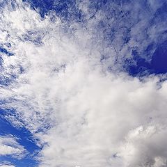 фото "Большое небо"