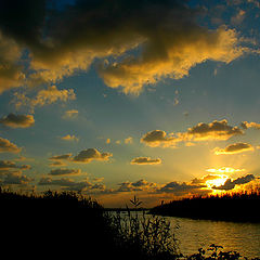 photo "Sunset"