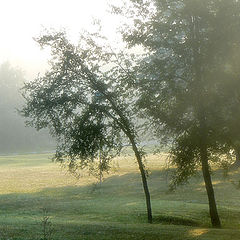 photo "Утро. Туман. Солнце"