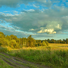 photo "Evening mood"