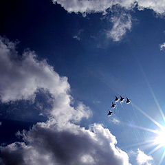 photo "The Russian Knights aerobatic team"