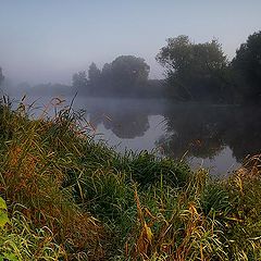 фото "Последнее летнее утро..."