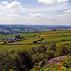 фото "Farm and fields"