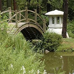 photo "Inside a Japanese Garden"