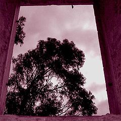 photo "Window of Sorrow"