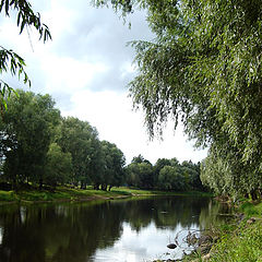 photo "***"