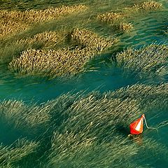 photo "silent waves..."