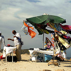 фото "in the wind"