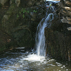 photo "Little waterfall"