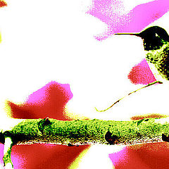 photo "Hummer Art"