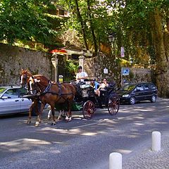 photo "Sintra"