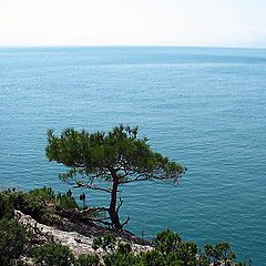 photo "Crimea"