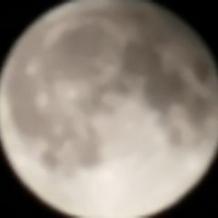 фото "Одинокая луна"