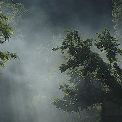 photo "***"