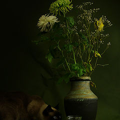 photo "First Still life"