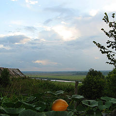 фото "Перед грозой"