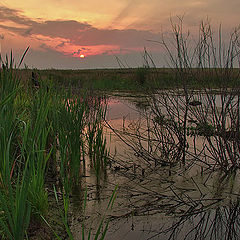 photo "Bog"