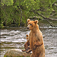 фото "Fishin' for my baby"