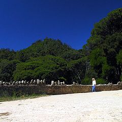 фото "Blue Lagoon Entrance"