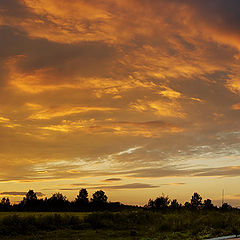 photo ":: Sunset"