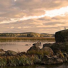 photo "Tones of autumn"