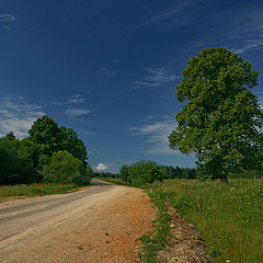 photo "Road"