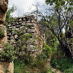 photo "The Footpath to the Past"