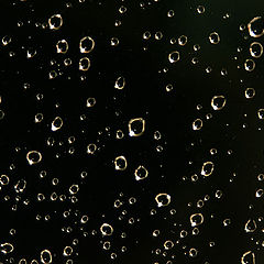 photo "Rain drops."