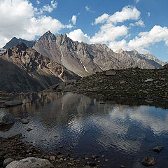 photo "Reflections"