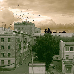 photo "before rain"