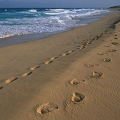 photo "Traces on sand"