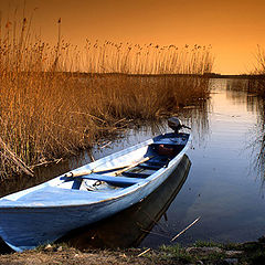 photo "***"