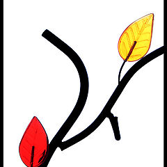 photo "***"