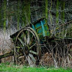 фото "old farmer hamper"