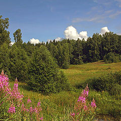 photo "The middle of July"